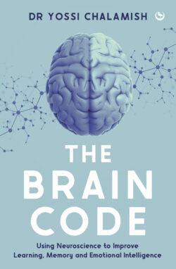 The Brain Code